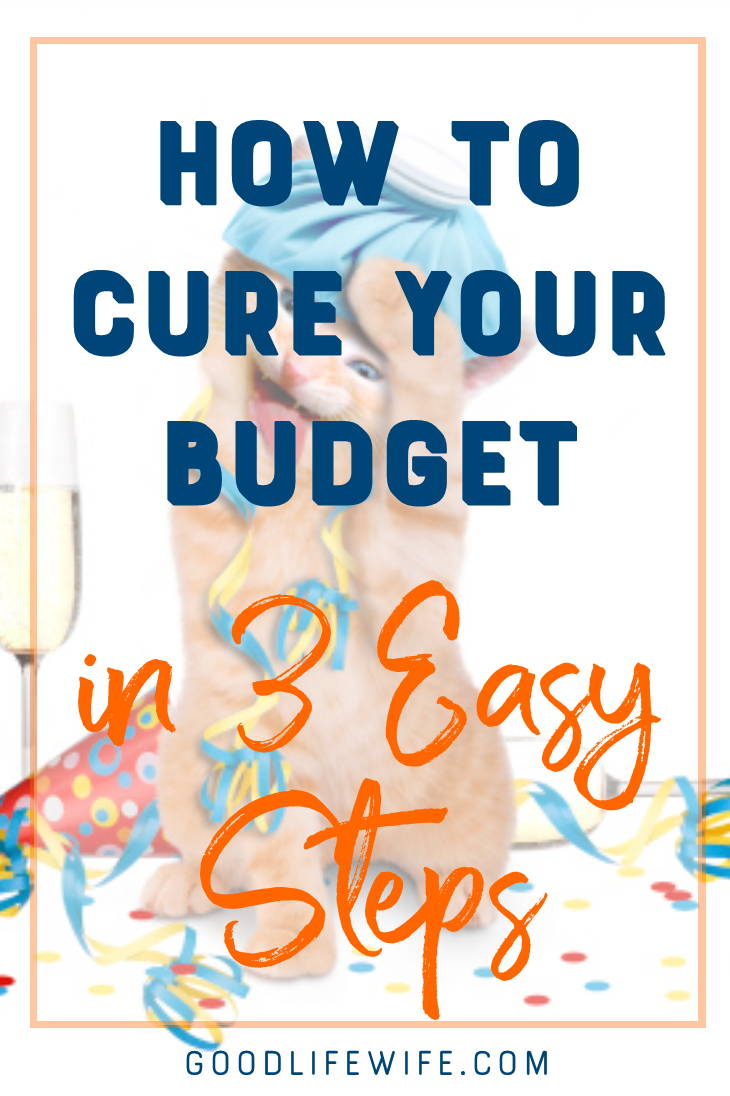 Is your budget out of control? Are you spending too much and not saving enough? Here's the cure!