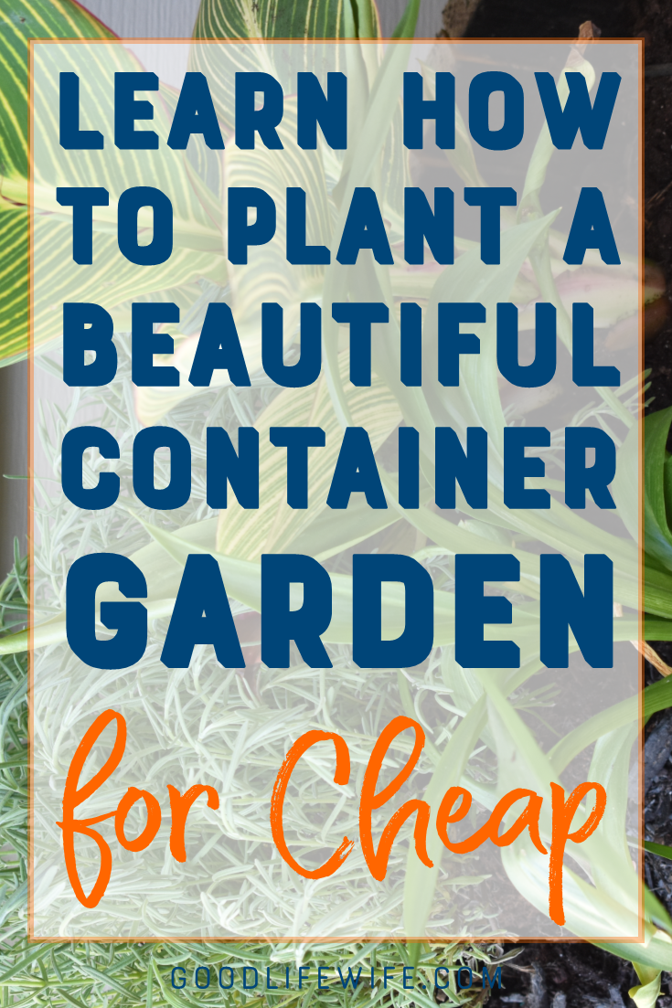 Learn how to plant a simple container garden on the cheap! All you need is a great design formula, inexpensive plants and a little patience.