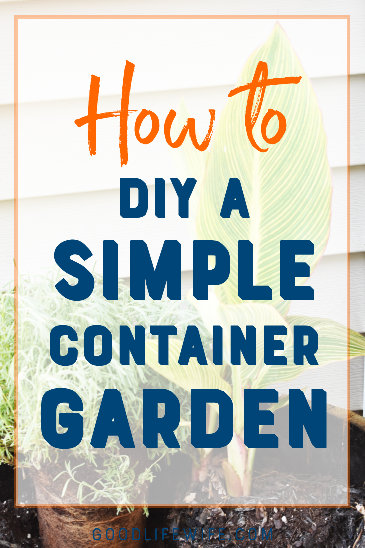 Learn how to plant a simple container garden on the cheap! All you need is a great design formula, inexpensive plants and a little patience.